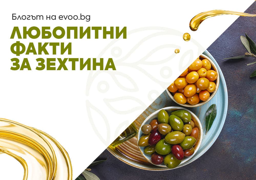 Любопитни факти за зехтина